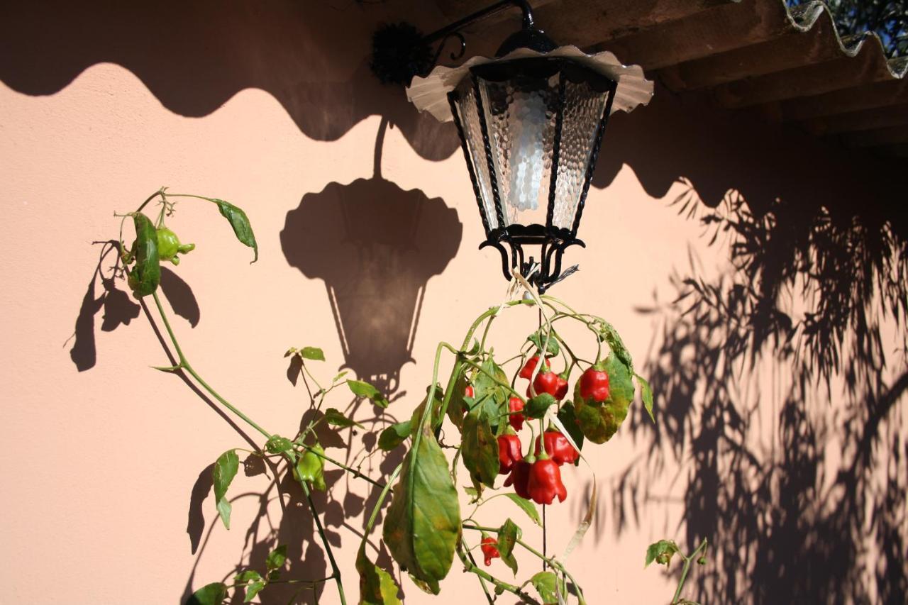 La Casa Di Sara Pula Exterior foto